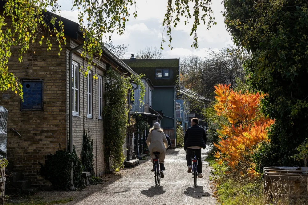 Image of people riding bikes through the street in Copenhagen during the overall best time to visit with yellow and red leaves on trees on one side and tall brick row houses on the other
