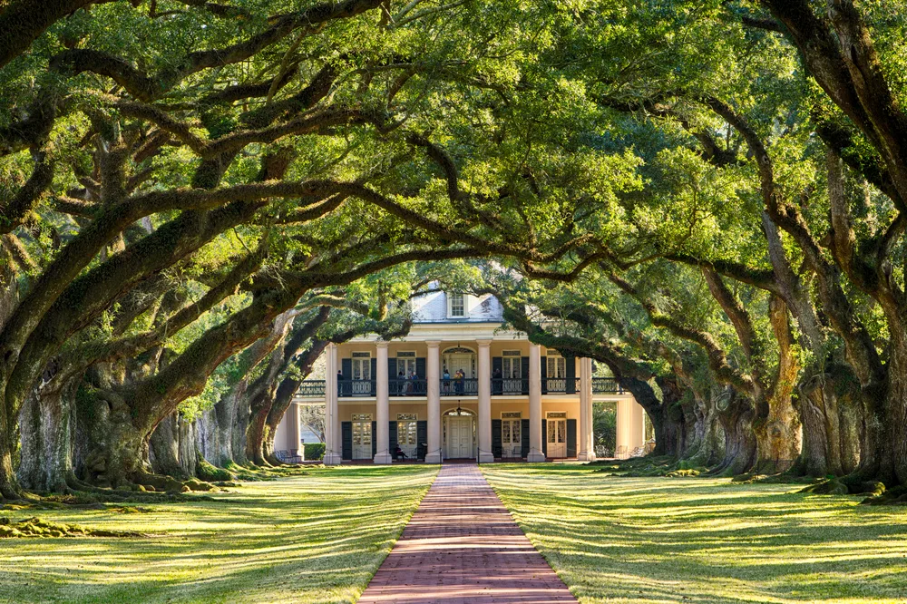 View of Oak Alley Plantation to show the least busy time to visit Louisiana