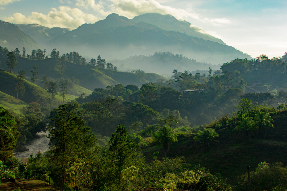 Sunrise in the Guatemalan jungle during the rainy and wet season, which the worst time to visit