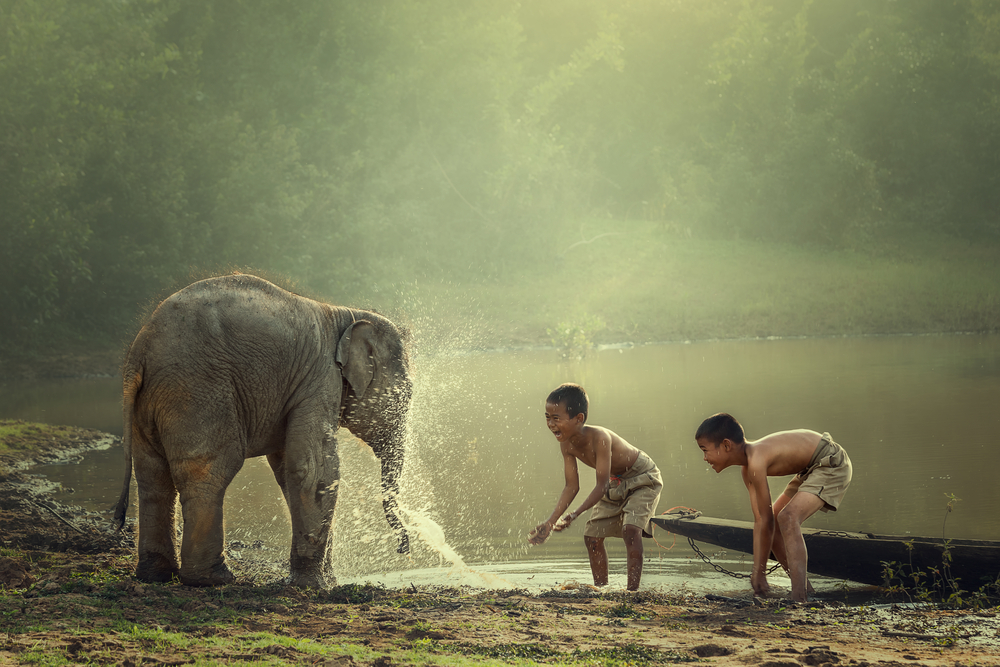Two young boys playing with a baby elephant during the rainy season, the cheapest time to visit Cambodia