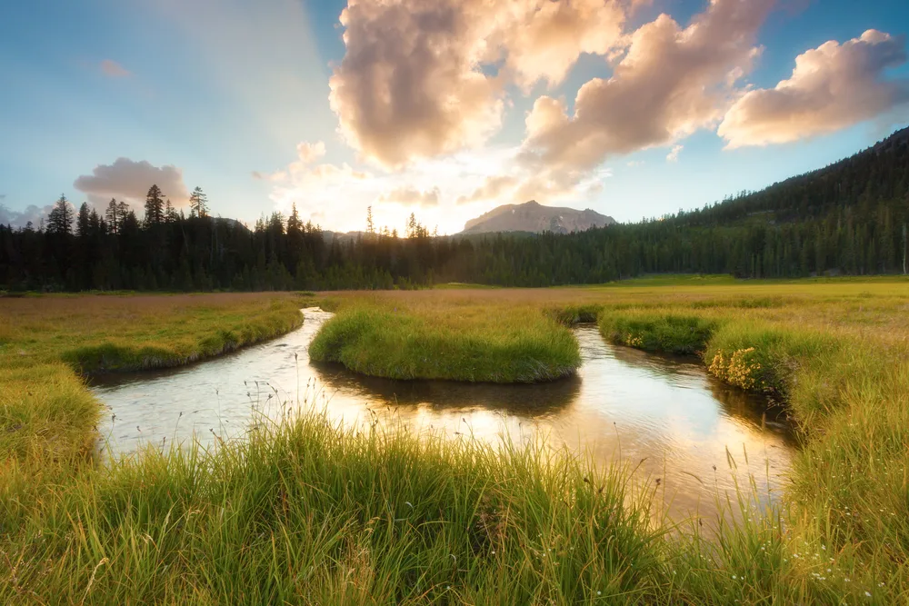 Photo of a marsh pictured during the best time to visit Lassen Valley National Park, as seen from the tops of the grass