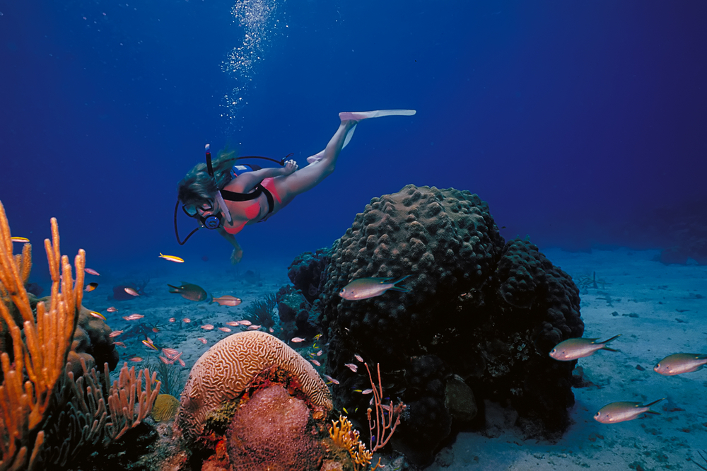 Tall and slender woman in a pink bikini scuba diving above a coral reef during the best time to visit the US Virgin Islands