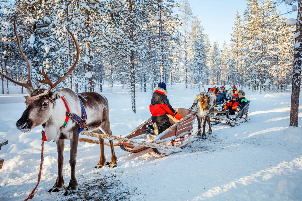 Reindeer pulling a wooden sled through a snow-covered forest with smiling children in the background
