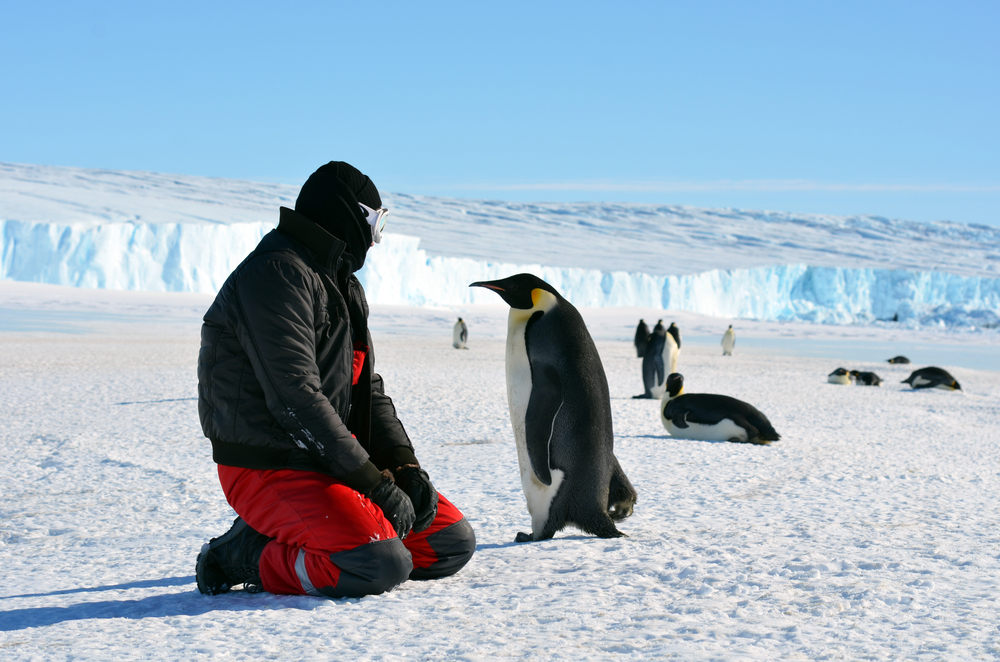 Guy playing with a penguin and wearing heavy clothing during the winter, the worst time to visit Antarctica
