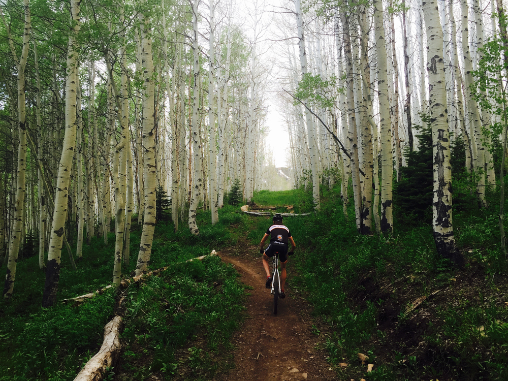 Bicyclist pedals through an aspen tree grove during the summer showing the cheapest time to visit Park City Utah