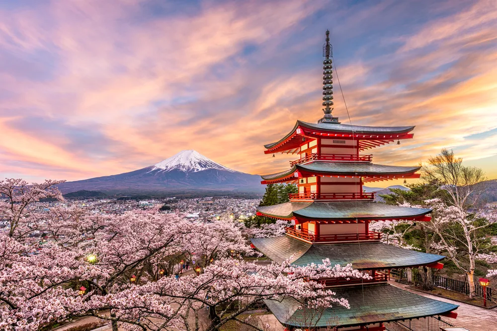 Image of pagoda at Fujiyoshida in springtime with cherry blossoms for a piece on Is Tokyo Safe