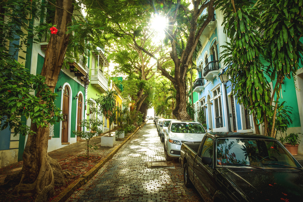 Unique tree-covered street in old town pictured during the cheapest time to visit San Juan Puerto Rico