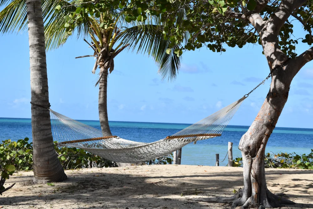 Hammock hanging from trees in Green Cay showing why you should visit St. Croix island