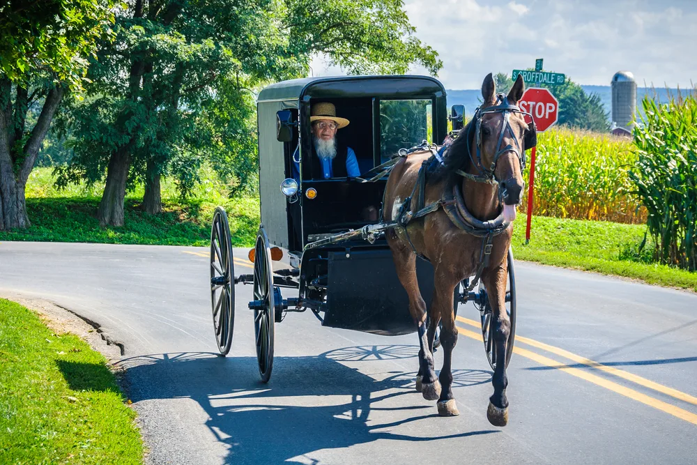 Man in a moving carriage in Amish Country PA