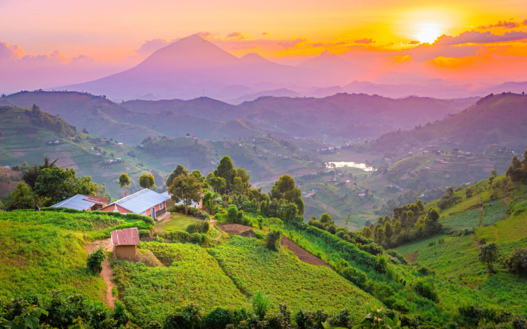 📅 The Best & Worst Times to Visit Uganda in 2025