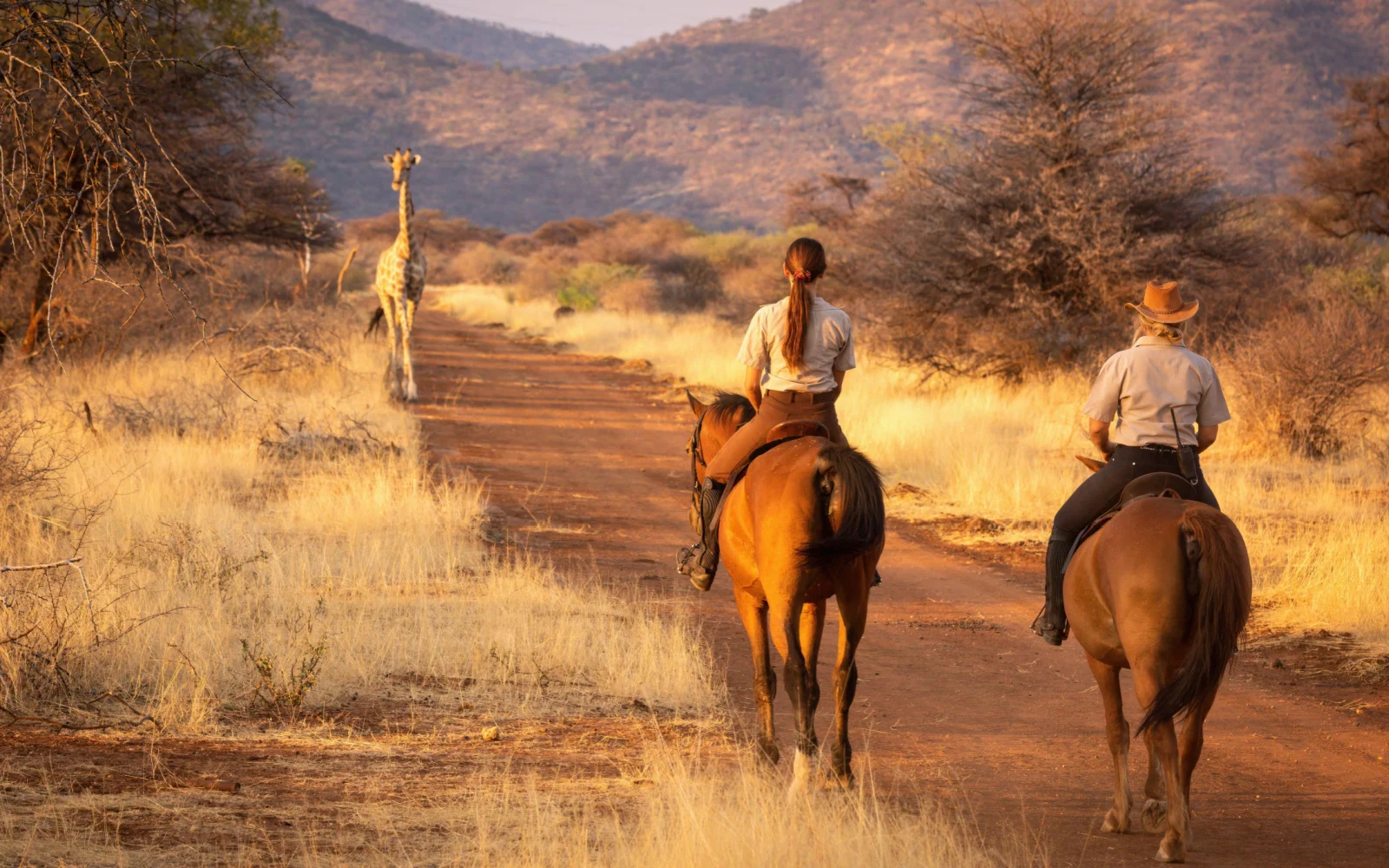 The Best & Worst Times to Visit Namibia in 2024