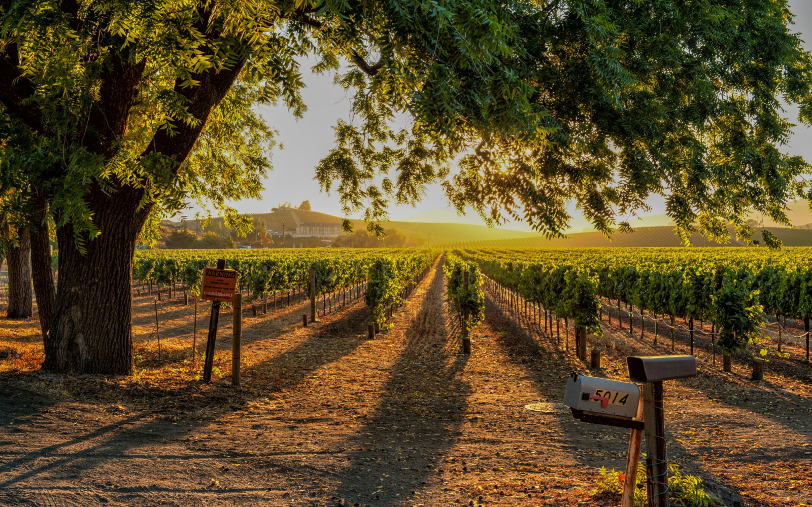 The Best Worst Times To Visit Sonoma In 2024 Expert Opinion   Shutterstock 2097117778 