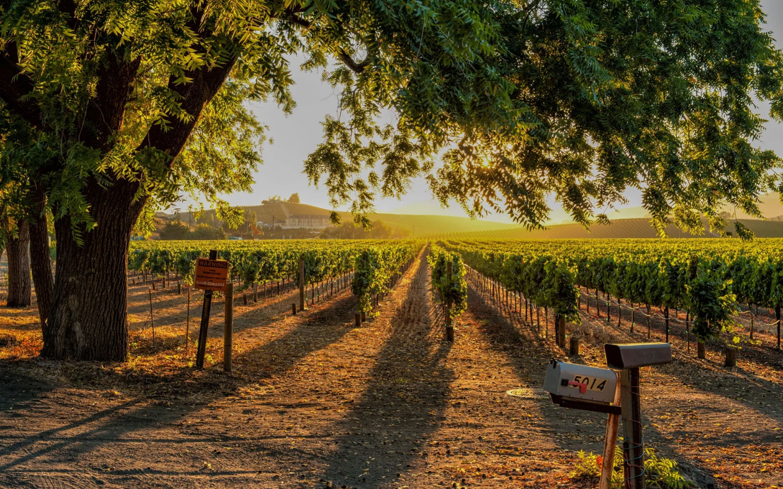 The Best & Worst Times to Visit Sonoma in 2023