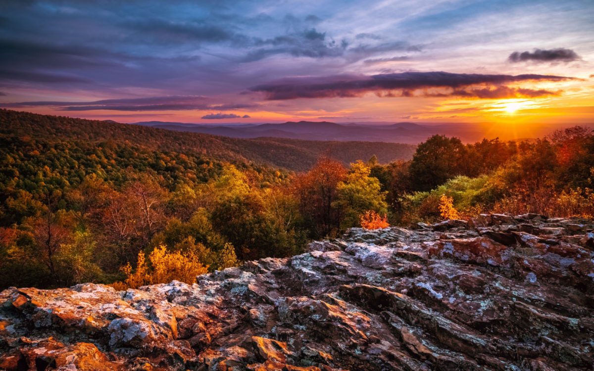 📅 The Best Time to Visit Shenandoah National Park in 2024