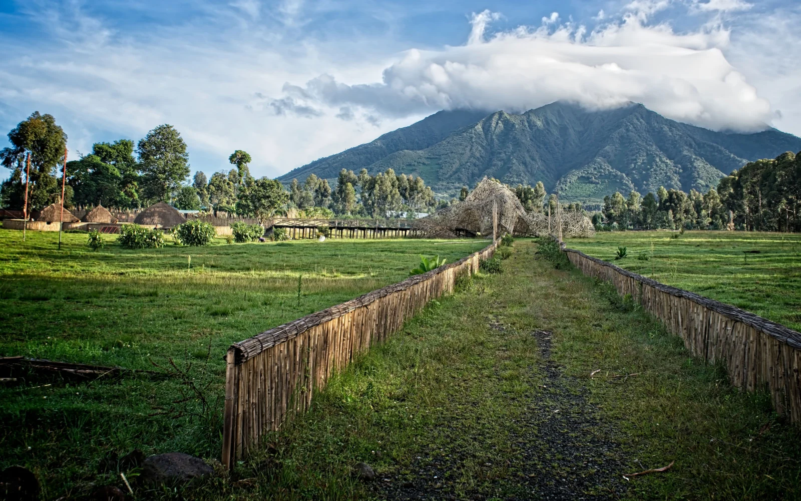 Is Rwanda Safe to Visit in 2023? | Safety Concerns