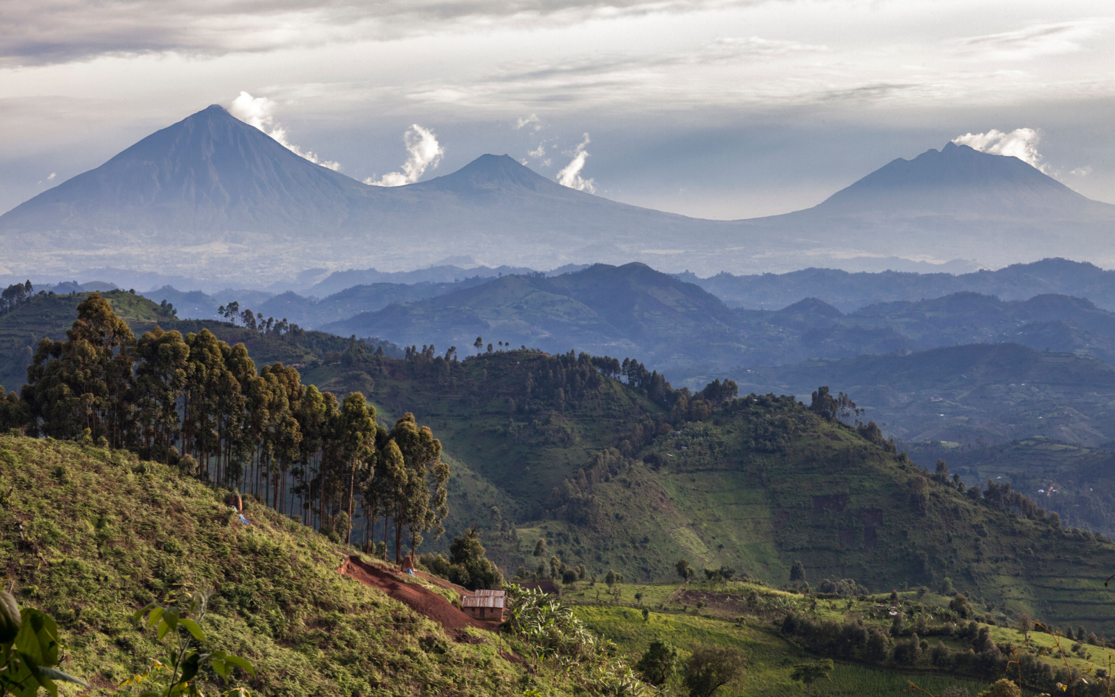 The Best Time to Visit Rwanda in 2023 | When to Go
