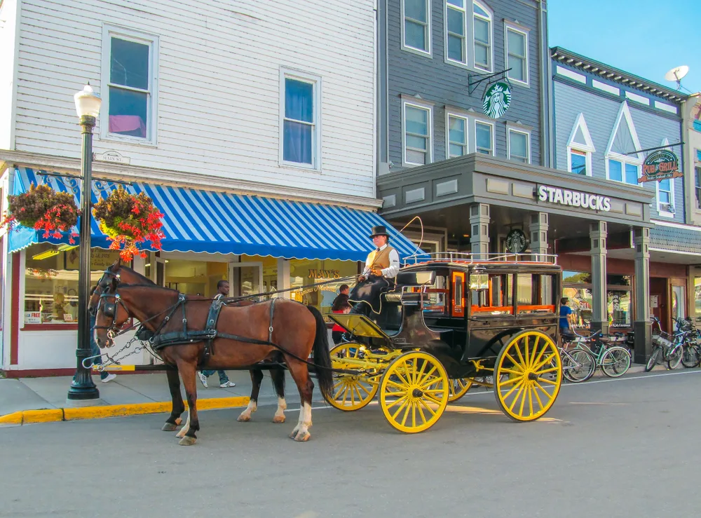 Guy in a horse-drawn carriage outside of a Starbucks in the downtown area on a nice day during the best time to go to Mackinac Island