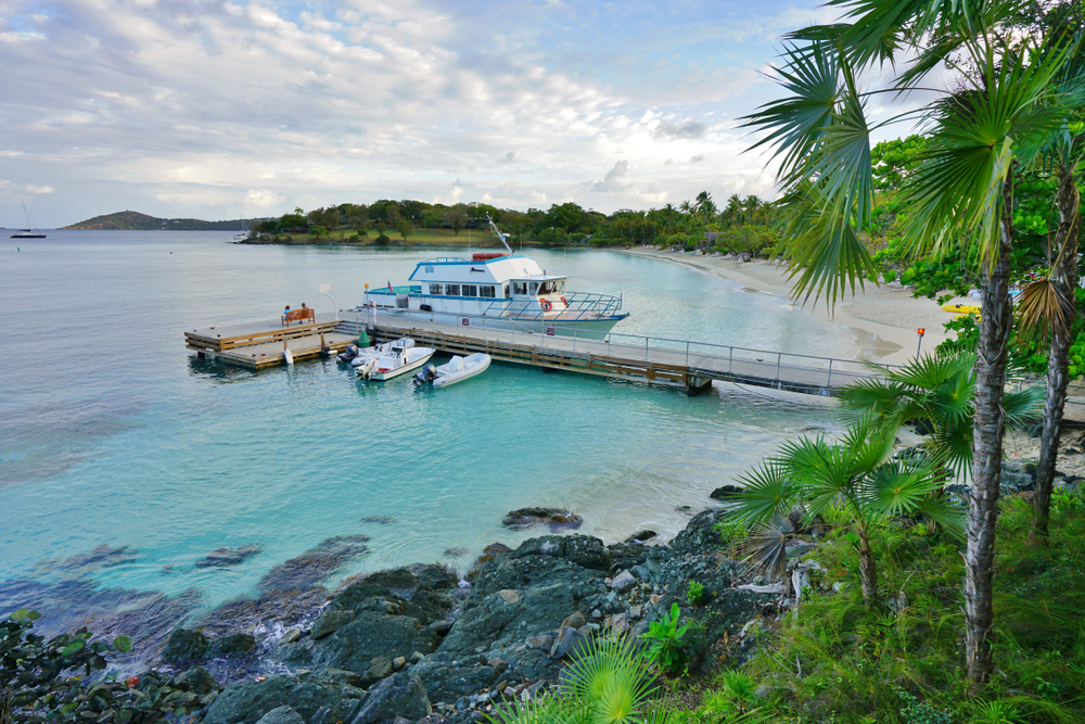 Image of a ferry in St. John pictured on a dock that leads to a lush jungle