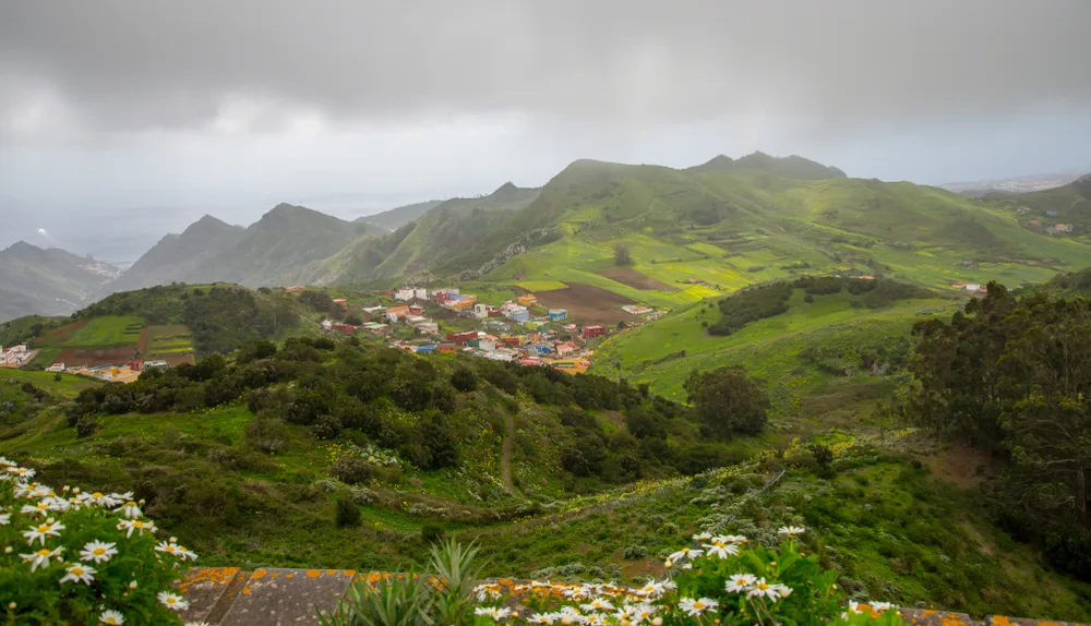 Rainy day in the Anaga Mountains and forest during the wet season, the overall worst time to visit the Canary Islands