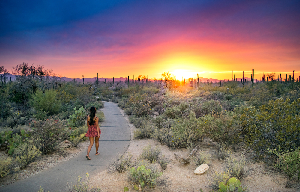 Woman in a picturesque scene walking at dusk with the sun setting behind a hill for a piece on the best time to visit Saguaro National Park