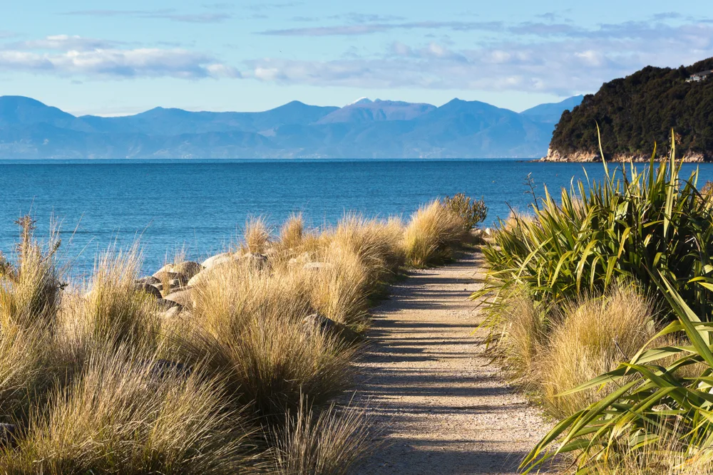 Beautiful gravel walking path through the vegetation in the Abel Tasman National Park, one of the best places to visit in New Zealand