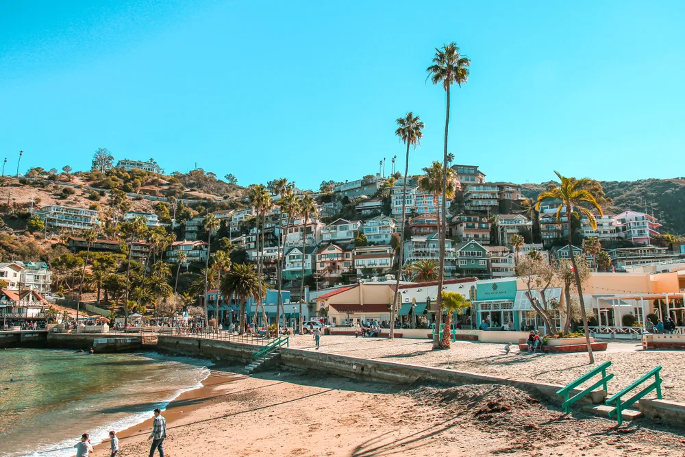 A few people walking along a sandy beach with expensive homes on the hillside overlooking the bay during the cheapest time to visit Catalina Island, the winter