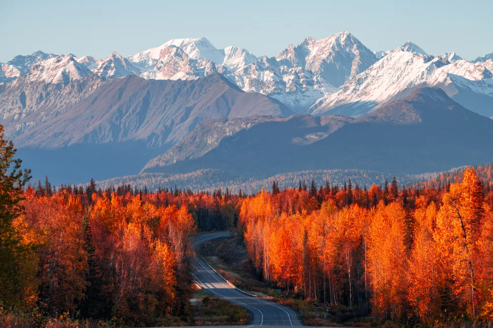 Amazing sight with autumn leaves on the trees turning orange and a road winding through the forest with the mountains in the background, as seen from a tall peak looking down