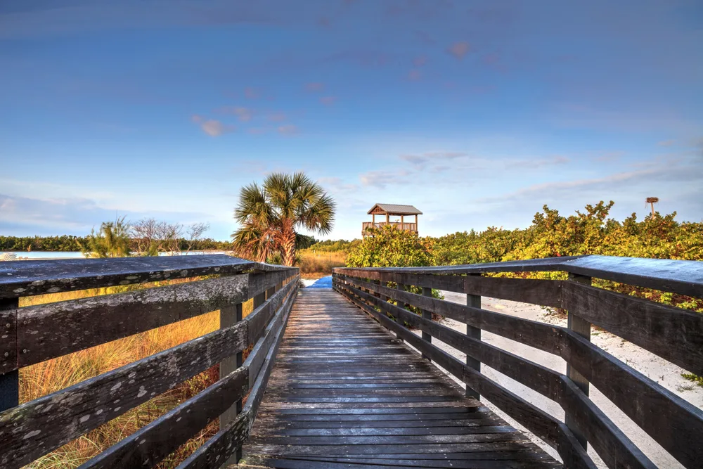 Elevated wooden bird observatory on Tigertail Beach on Marco Island, pictured during the best time to visit