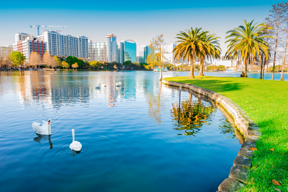 Cool winter view of Lake Eola pictured with ducks on the lake and palm trees on the shoreline on a clear day