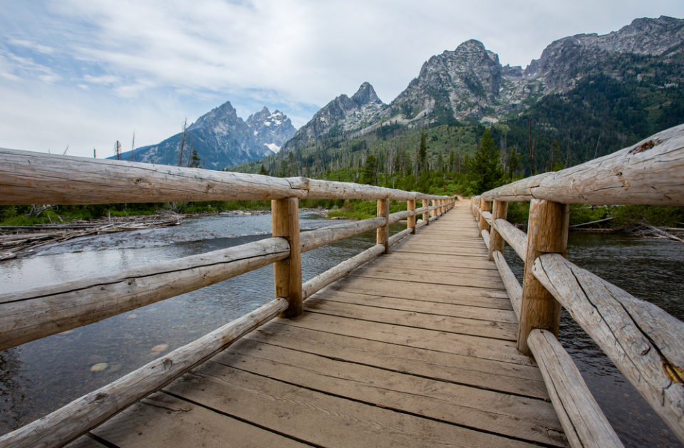 📅 The Best & Worst Times to Visit Jackson Hole in 2024
