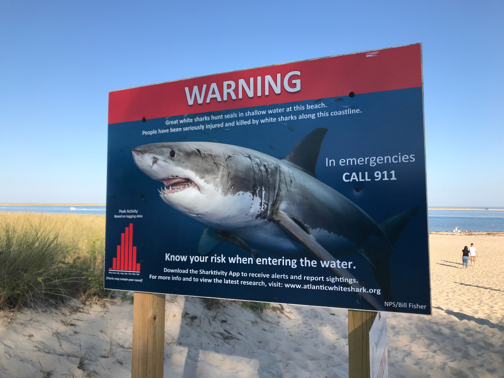 Image of a big billboard that says be aware of sharks pictured with a blue sky in the background