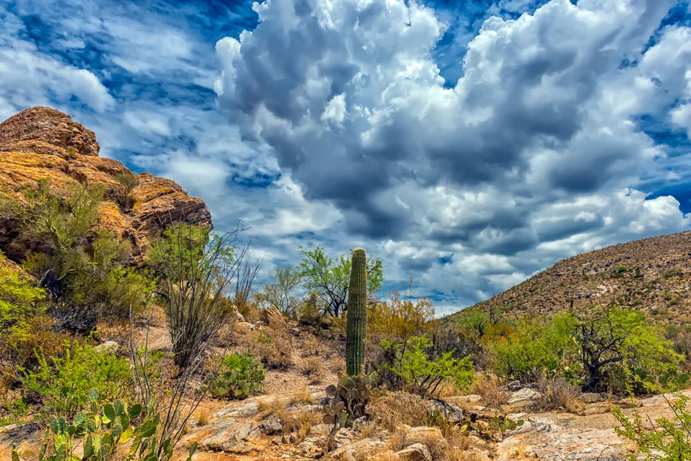 Desert landscape pictured with the dry desert below rolling clouds in Saguaro National Park