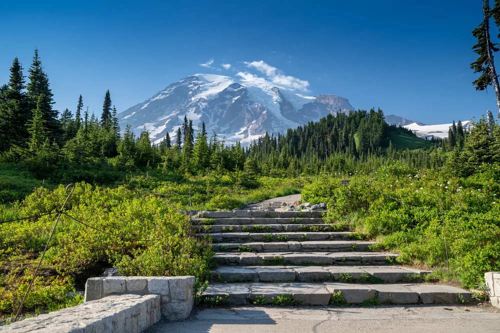 Mount Rainier pictured during the best time to visit with big stone steps leading to the mountain