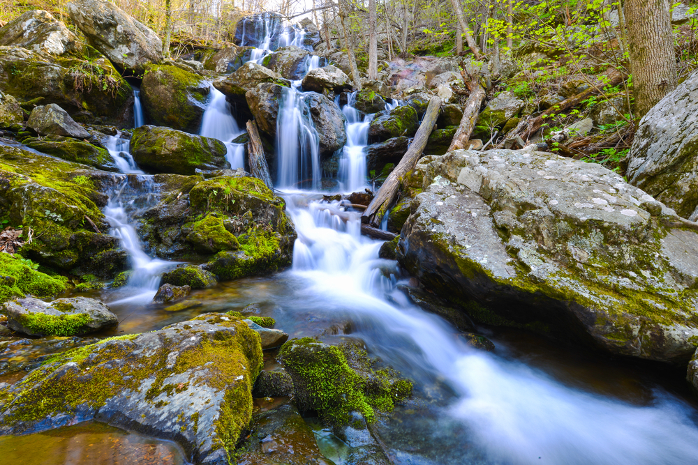 Dark Hollow Falls with moss-covered rocks pictured in Shenandoah