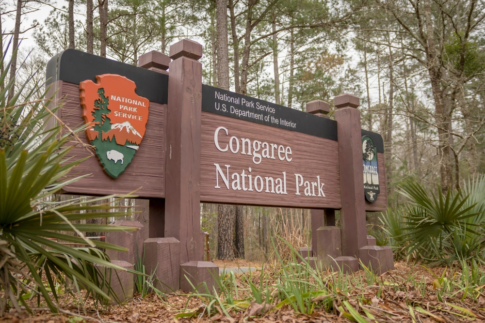 Sign that says Congaree National Park, taken from the entrance, for a piece on the overall best time to go