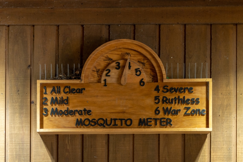 Photo of the storied Mosquito Meter in Congaree National Park in the summer, the overall worst time to visit