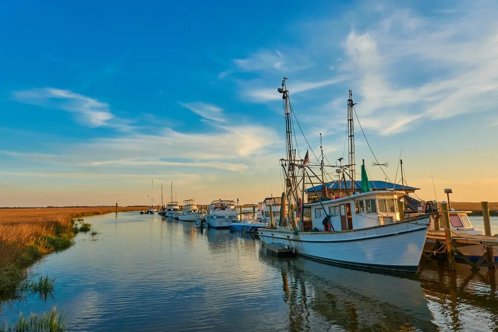 Picturesque photo of small white shrimp fishing boats docked on Tybee Island during the best time to visit at dusk with a grass marsh to the left