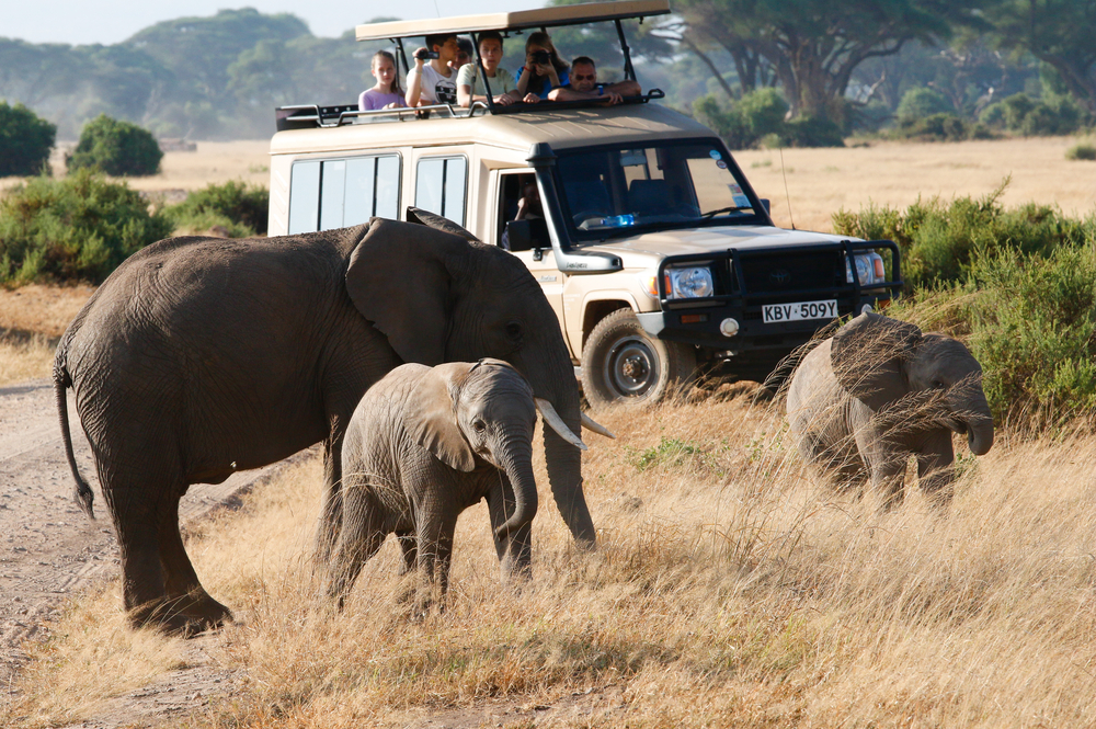 Tourists in a Land Rover driving along in Kenya and looking at elephants for a piece on Is Africa Safe