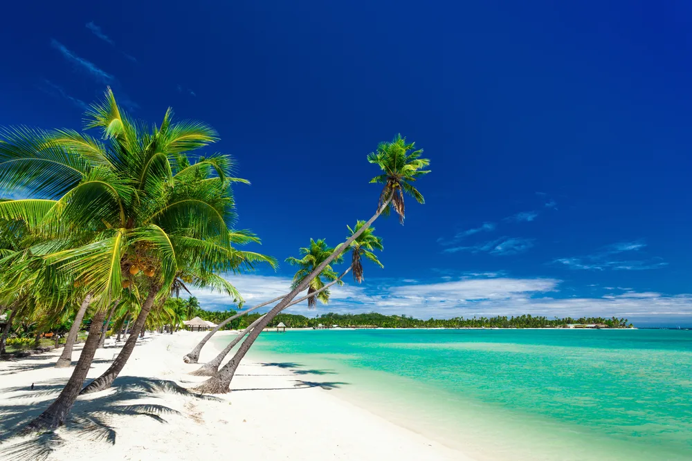 Palm trees lie over a gorgeous white sand beach and teal water on Plantation Island in Fiji, a perfectly safe place to visit