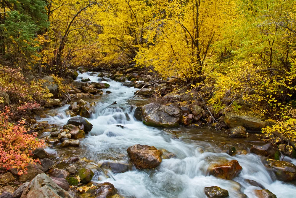 Stream and rocks pictured in the middle of the forest during the least busy time to visit Salt Lake City, autumn