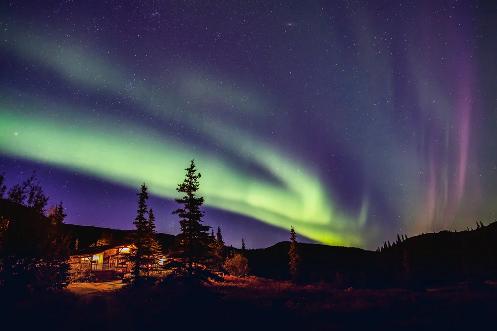 The Northern Lights shimmer in green and blue high above the remote landscape at night during the best time to visit Denali National Park