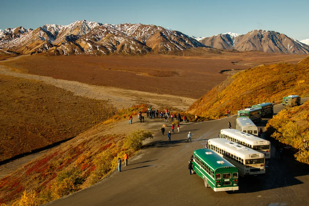 Tour busses in Denali National Park during the least busy time to visit with visitors walking along long, flat dirt paths
