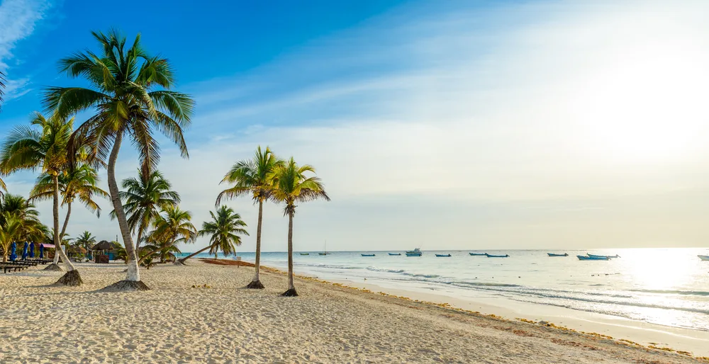 Playa Paradise with white sand and gorgeous green palm trees pictured with the sun setting in the distance during the best time to visit Riviera Maya