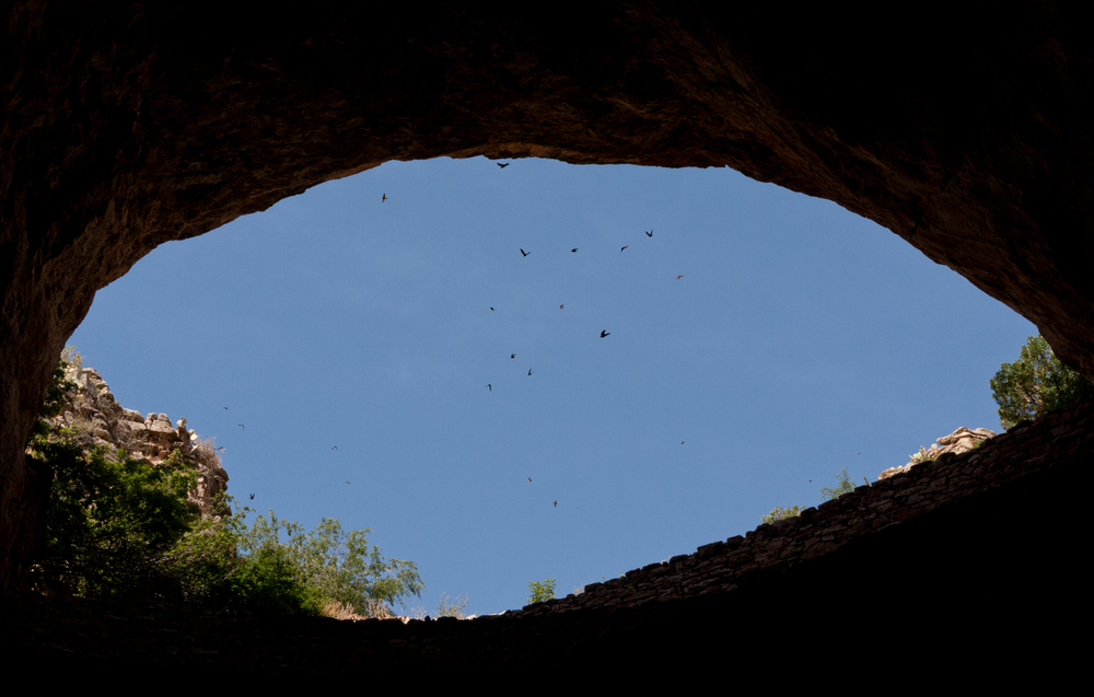 Bats flying around the entrance to a cave during the best time to visit Carlsbad Caverns