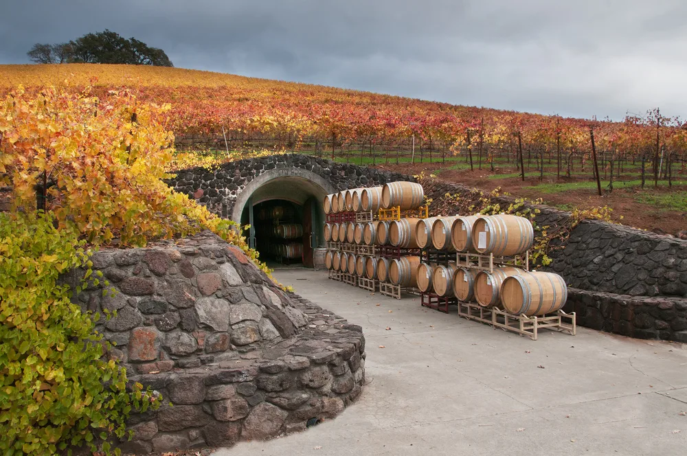 Wine barrels piled up and going into a cave in Sonoma, one of the best places to visit in Northern California