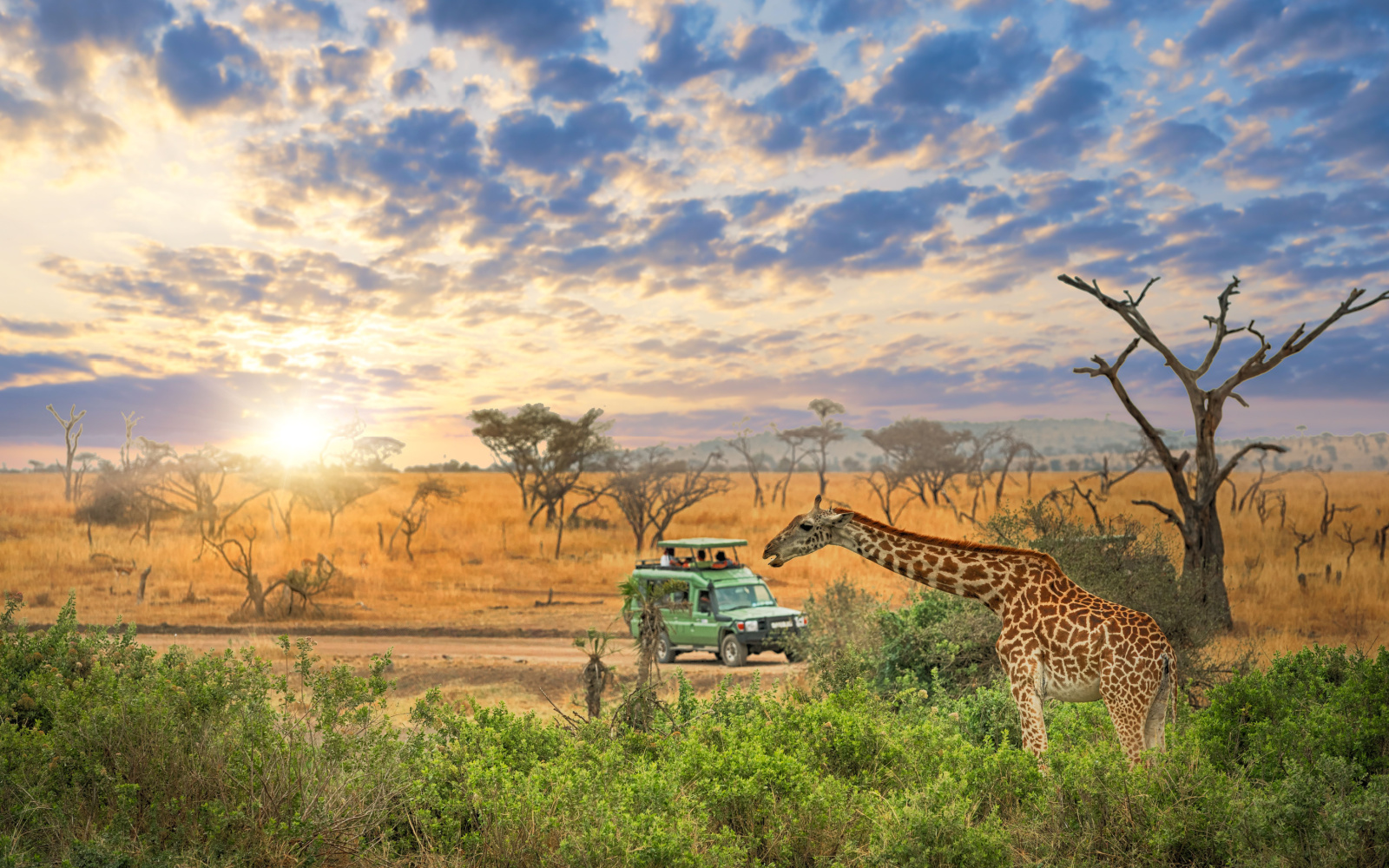 safari in tanzania best time to visit