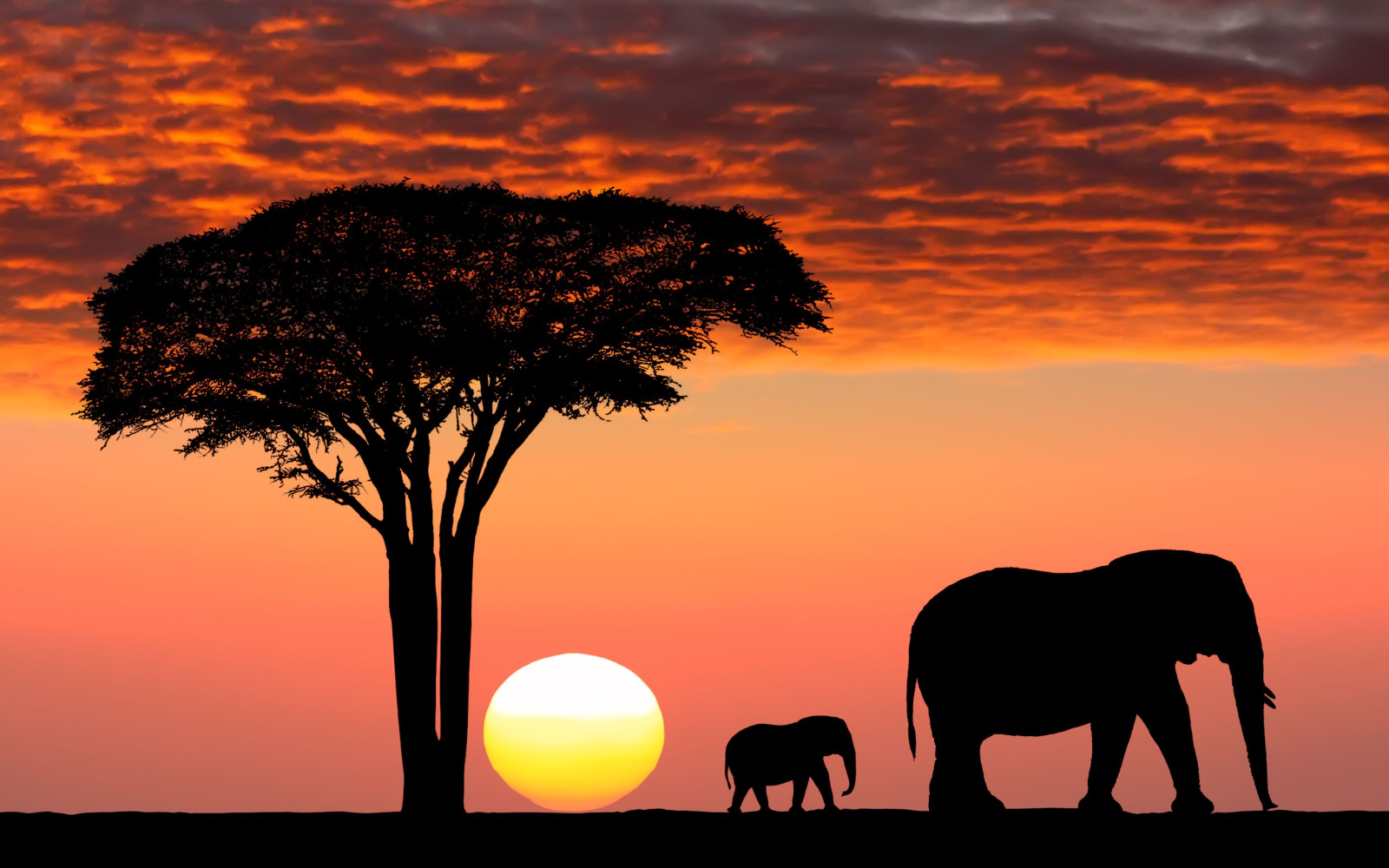 The Best Time to Safari in Kenya in 2023