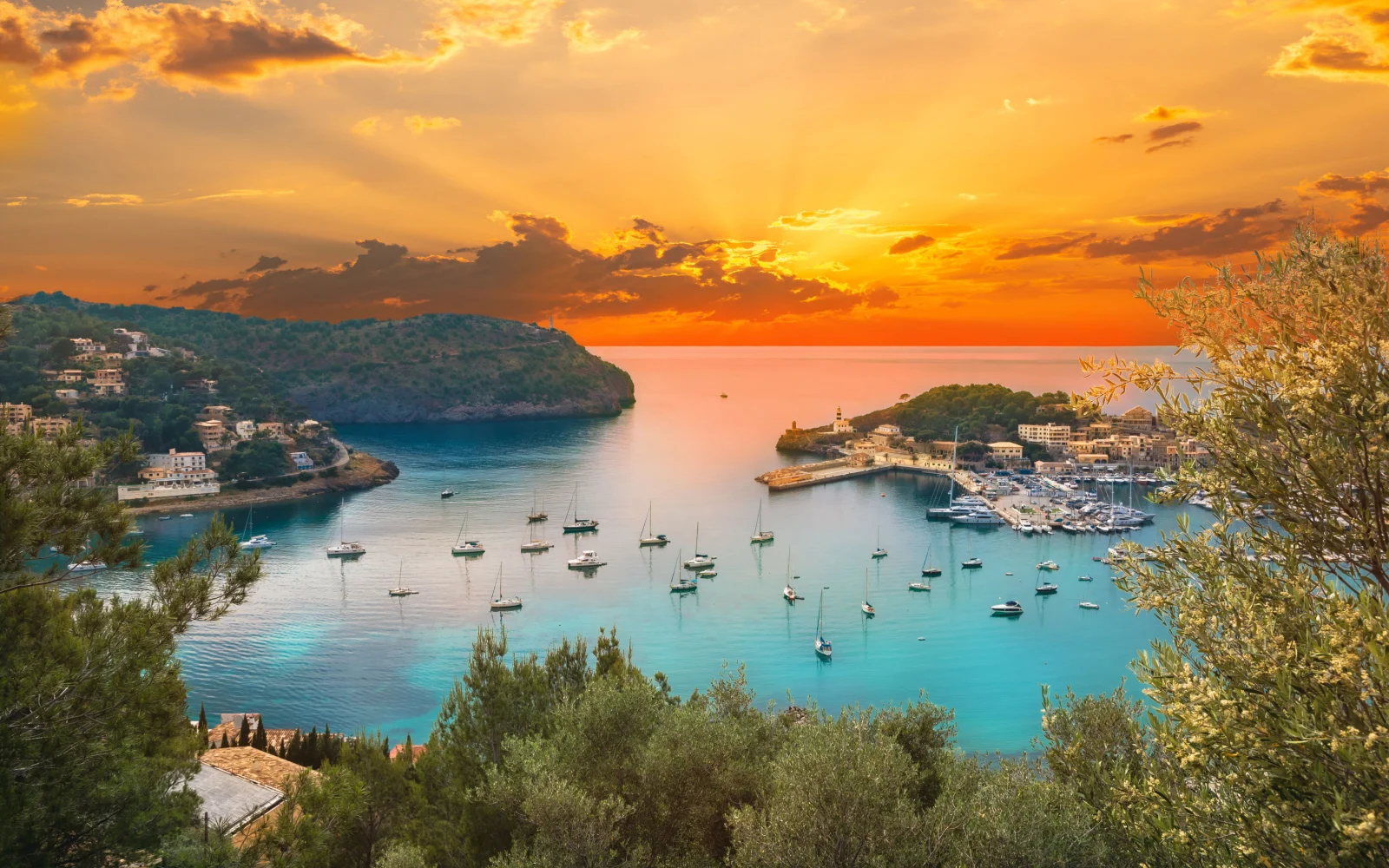 The Best & Worst Times to Visit Mallorca in 2023 | Travellers 🧳