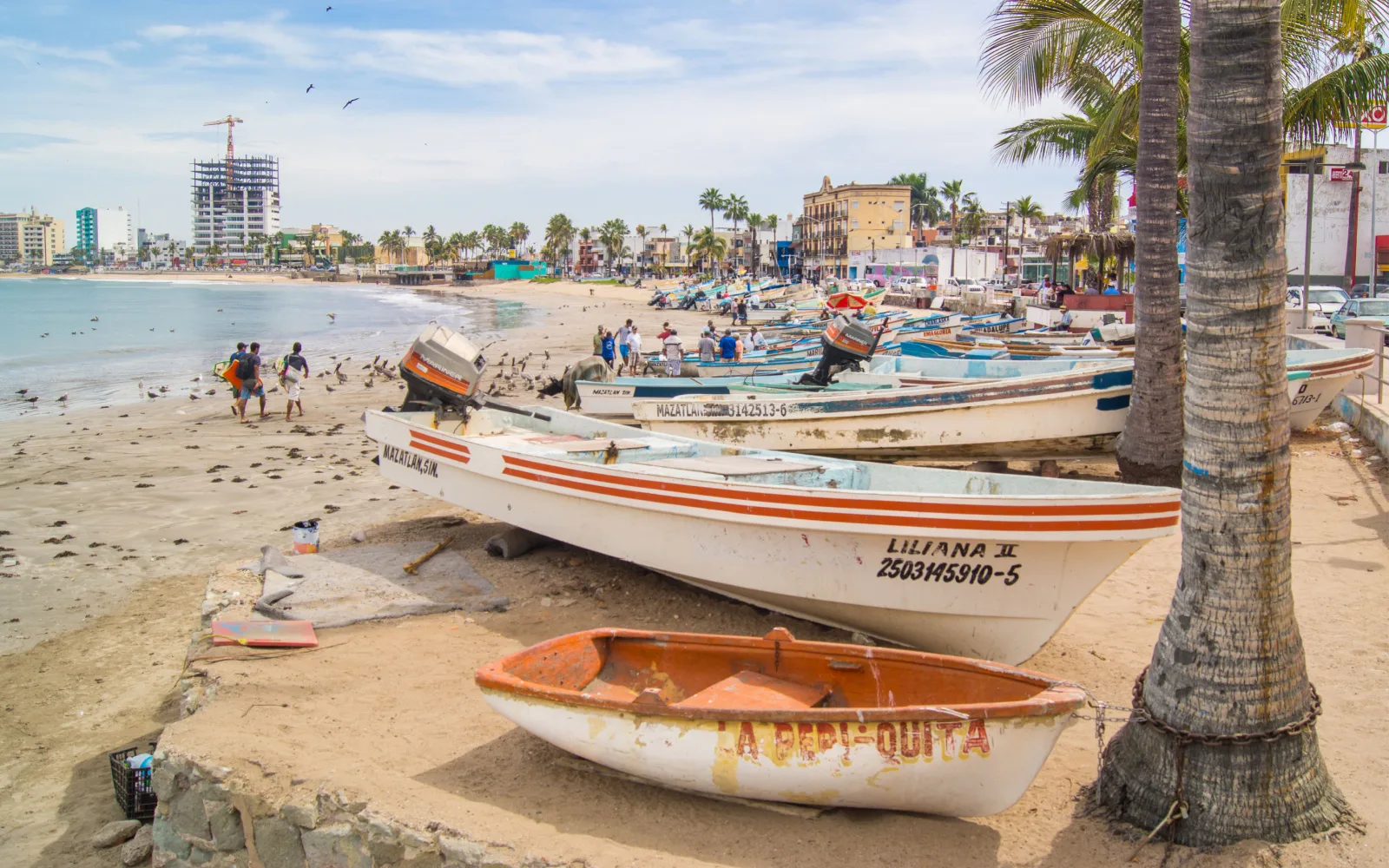 The Best Time to Visit Mazatlán in 2023
