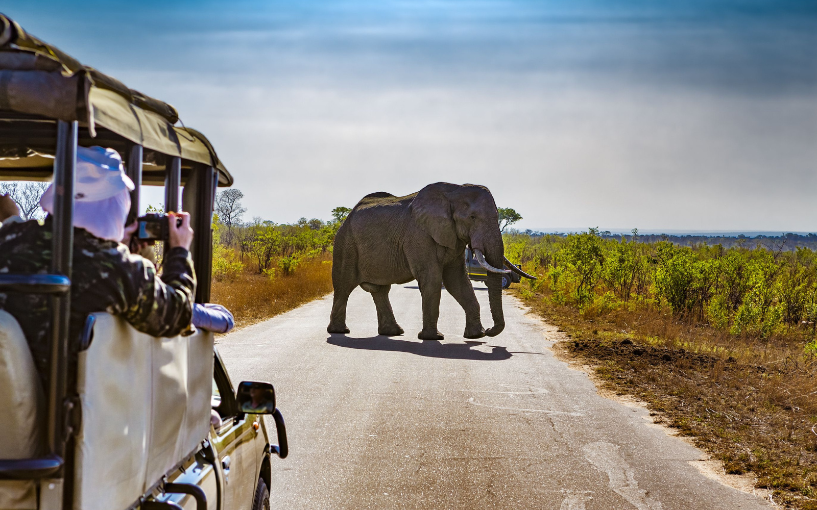The Best Time for a South African Safari in 2023
